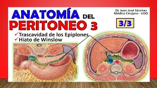 🥇 PERITONEO 33 Trascavidad de los Epiplones Bolsa Omental [upl. by Arikaahs231]