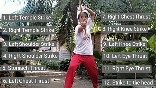 ARNIS 12 STRIKING TECHNIQUES [upl. by Treboh]