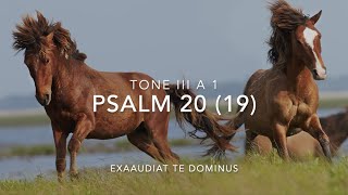 Psalm 20 Exaudiat te Dominus [upl. by Seow]