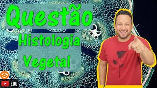 Tecidos Vegetais  Questão  Histologia Vegetal  Botânica [upl. by Paderna826]