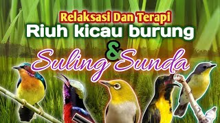 Perpaduan Harmonis suling Sunda dan kicauan burung di alampenenang pikiran dan relaksasi [upl. by Oinegue]