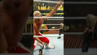 When rhodes wwe wrestling bashinberlin fyp shorts [upl. by Alin]