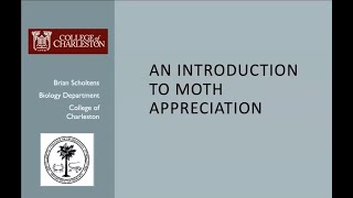 An Introduction to Moth Appreciation [upl. by Annekcm]