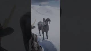 Rdr2 duel with a ram for knocking me over [upl. by Kieran527]