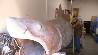 An original prop shark from Jaws gets a new lease on life  ABC7 [upl. by Culley925]