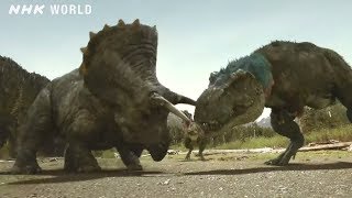 Tyrannosaurus vs Triceratops  DINOSAURS [upl. by Noyk]