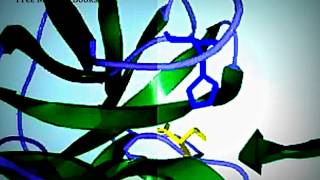 Chymotrypsin mechanism of action [upl. by Hnib]