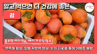 감의 영양적 특징과 건강상 이점 알아보기 건강정보 감효능 단감효능 반시 홍시 대봉감 곶감 면역력강화 소화개선 항산화작용 피부건강 체중관리 심혈관건강 [upl. by Heyes946]