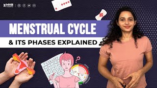 What is The Menstrual Cycle Menstrual Cycle Phases EXPLAINED [upl. by Eisserc]