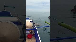 Craziest Fishing EVER Massive Billfish JawDropping Fishing Adventure [upl. by Colson]