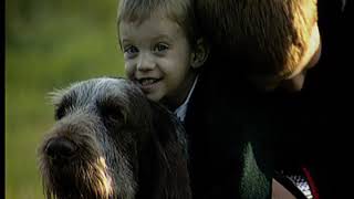 Spinone e il suo mondo [upl. by Hayimas781]