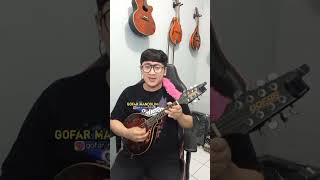 SENGAJA  MANDOLIN INSTRUMENT gofarmandolin mandolin instrumental instrumentalmusic sengaja [upl. by Llemor443]