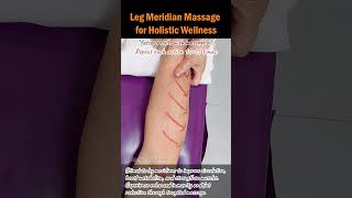 Leg Meridian Massage for Holistic Wellness legmassage holisticwellness fatburning stressrelief [upl. by Hairabez602]