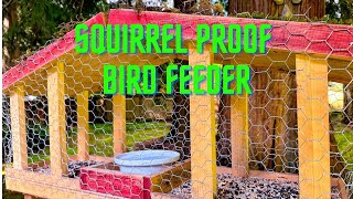 DIY Squirrel Proof Bird Feeder [upl. by Anel]