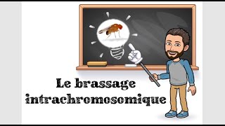 LE BRASSAGE INTRACHROMOSOMIQUE  2 TSPÉ SVT [upl. by Enilarac]