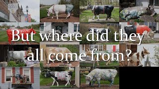 Where did the Painted Cows in New Glarus WI come from [upl. by Kerrin]