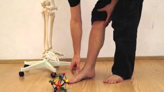 Posture Training 3 The forefoot strike  Natural walking for pain relieve [upl. by Jaret]