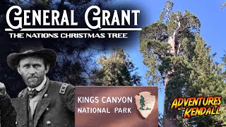 General Grant Giant Sequoia  The Nations Christmas Tree [upl. by Derry630]