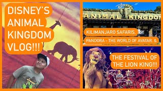 Disneys Animal Kingdom VLOG Adventures Animals amp AVATAR [upl. by Keare240]