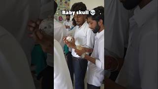 Baby skull examination daily practical skull baby video viral vlog short science lab [upl. by Hugh]