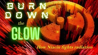 BURN down the GLOW How Niacin fights radiation [upl. by Bathsheeb]