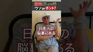 【噂の真相】小沢仁志が三日かける「秘伝のカレー」が最高にウマいらしい🍛【嘘or本当？】 [upl. by Ahseikram]