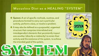 Importance of Practicing the quotSystemquot  From Lesson 11 Mucusless Diet Healing System eCourse [upl. by Letnahs]