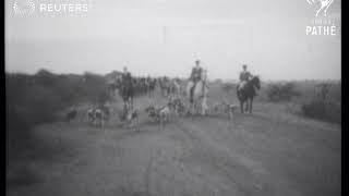 INDIA Jackal hunting in New Delhi 1947 [upl. by Naed]