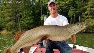 Why We Musky Fish  Highlight Video [upl. by Atiraj]