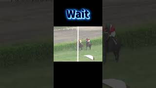 Wait for End Rcae 29sep24 horse horserace lrc racingsports [upl. by Gillman723]