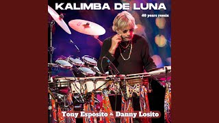 Kalimba De Luna 40 Years Remix by Joe Mangione amp Danny Losito [upl. by Keelby714]