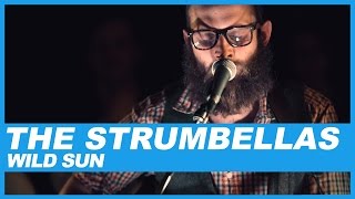 The Strumbellas  Wild Sun [upl. by Eimat]