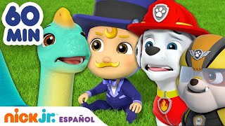 PAW Patrol  ¡1 hora de los rescates de bebés más adorables de la Patrulla canina  Nick Jr [upl. by Deckert769]