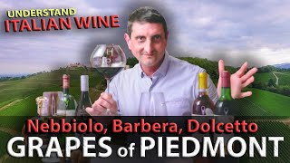 Piedmonts Wine TRILOGY Nebbiolo Barbera Dolcetto  Italian Wine 101 [upl. by Yemiaj]