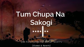 Tum chupa naa sakogi slowed revarb song ll Lofi song ll Anjalimusic chanal ll Lofisong [upl. by Rogerio]