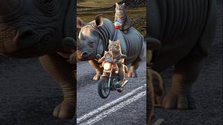 Cute kittens and rhino take my kinderjoy catlover cutecat catvideos trendingshorts [upl. by Richy761]