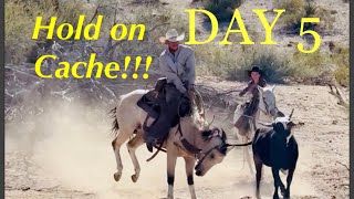 Day 5 Horse wont stop bucking while roping wild cattle [upl. by Fagaly274]