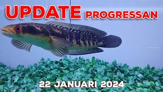 Update Progress amp Treatment 22 Jan 24 [upl. by Brewster]