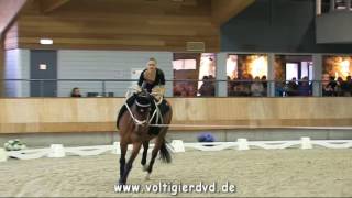 Melina Tresch SUI  CVI2 Female  03  CVI Ermelo 2016 [upl. by Norda]