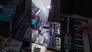 Volca Drum  Solina  JX08  JD08  MC101 synthwave synth synthesizer vintagesynth music [upl. by Fechter]