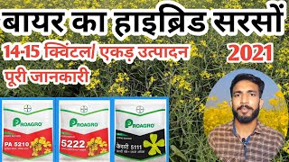 बायर हाइब्रिड सरसों  Bayar Hybrid Sarson Ki Puri Jankari  5210  5222  5111  Chhotakisan [upl. by Nomla28]