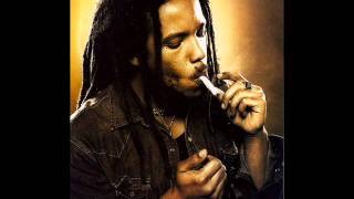 Stephen Marley  Pale Moonlight How many Times [upl. by Sunil]