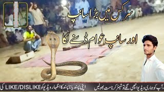 topvideo foryouviralvideosarkious sanp Kamal dekhye sanp ne nachna aur logo ki dusnaNaim J ONE [upl. by Ecar478]