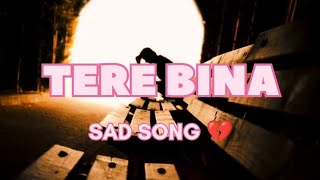 Tere Bina Sad Song ❤️‍🩹 youtube sadsong emotionalsong hearttouchingsadmusic newsong viralsong [upl. by Gnaw597]