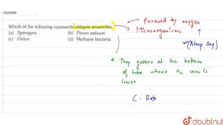 Which of the following represents obligate anaerobes [upl. by Esiouqrut935]