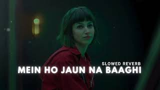 Peera Ve Peera  Baaghi OST  Slowed Reverb [upl. by Nodnarbal]