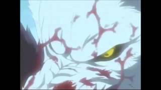 Kiba vs Darcia Wolfs Rain [upl. by Ibrahim]