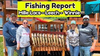 Minnesota Fishing Report  Mille Lacs Lake Leech Lake and Lake Winnie 053024 [upl. by Sidran]