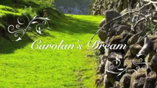 The Music of Turlough OCarolan Molly MacAlpin Carolans Dream [upl. by Peih]