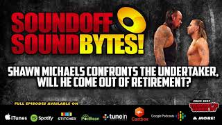 Should Shawn Michaels Come Out Of Retirement To Face The Undertaker [upl. by Melborn]